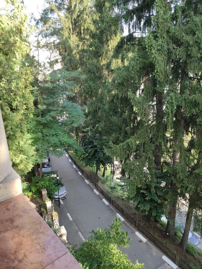 Villa Casa Rosa Băile Olăneşti Exterior foto